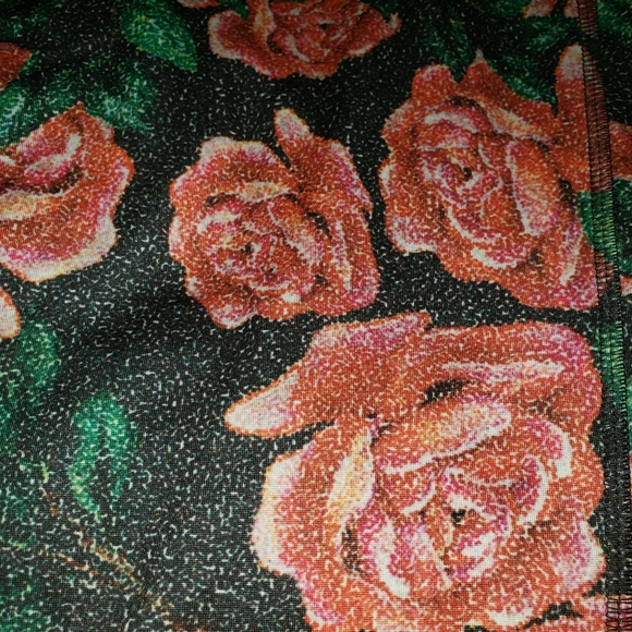 Lularoe 2X Jade athletic moisture-wicking legging - Picture 3 of 10